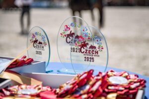 CSO_2025_15